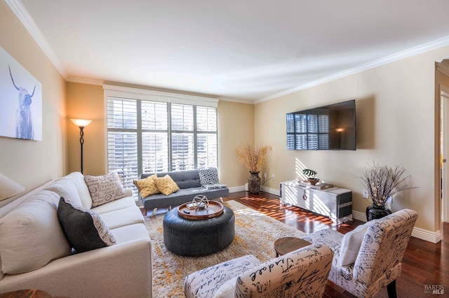 living room featuring dark wood-type flooring and crown molding