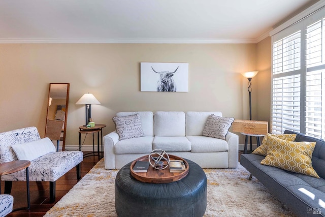 living room with crown molding and hardwood / wood-style floors