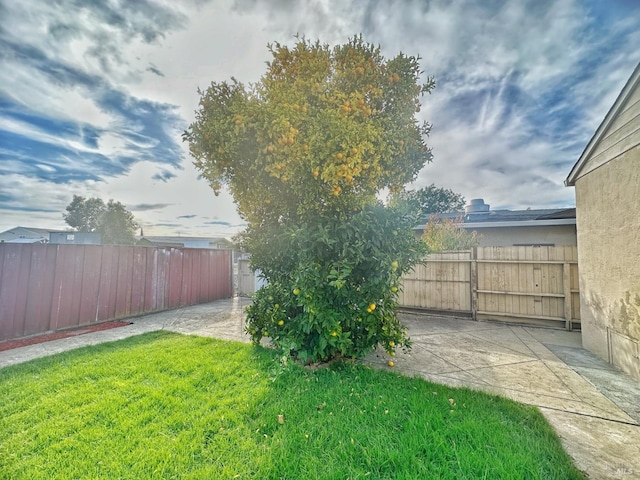 view of yard featuring a patio area