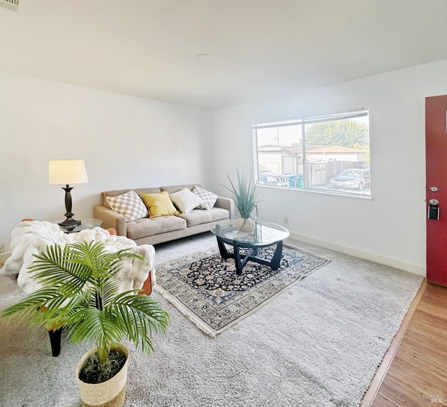 living room with wood-type flooring