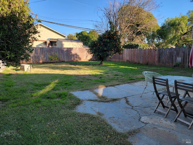 view of yard featuring a patio area