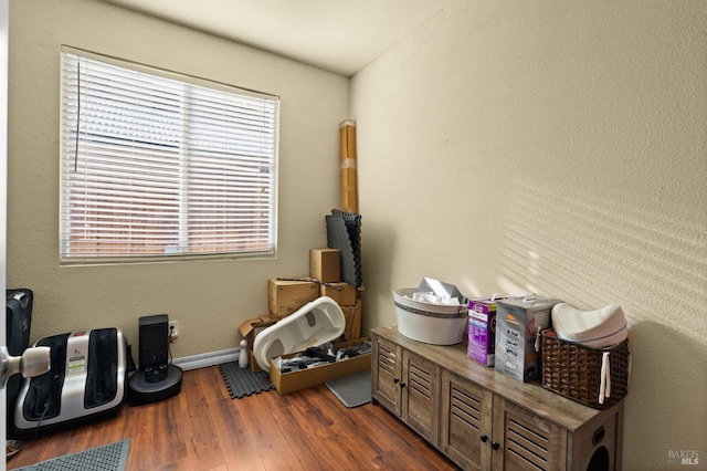 sitting room featuring dark hardwood / wood-style flooring