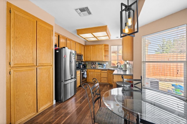 kitchen with sink, tasteful backsplash, hanging light fixtures, dark hardwood / wood-style floors, and stainless steel appliances