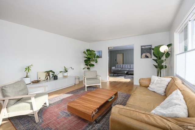 living room with wood-type flooring and plenty of natural light