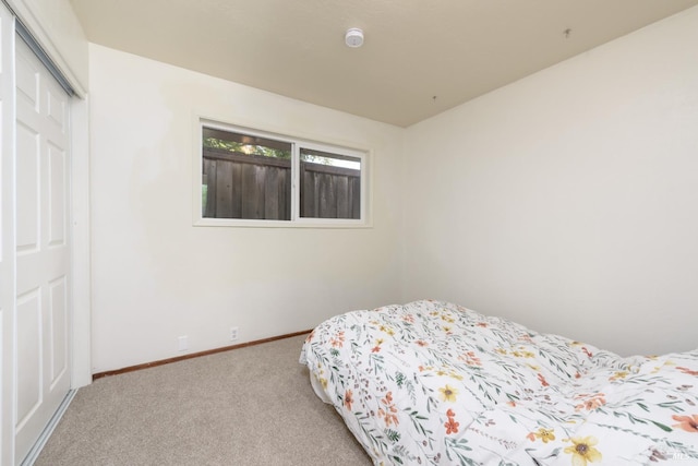 bedroom featuring carpet and a closet