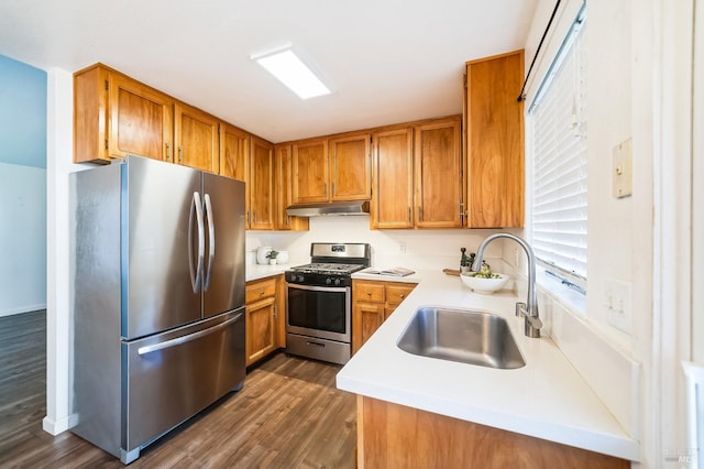 kitchen with sink, dark hardwood / wood-style flooring, and stainless steel appliances