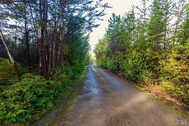 view of road