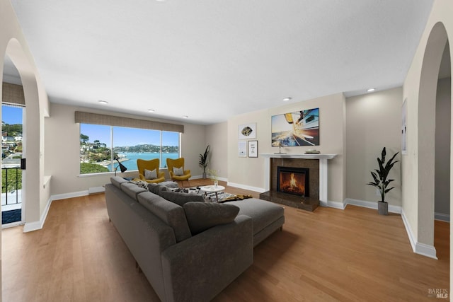 living room featuring light hardwood / wood-style floors and a high end fireplace