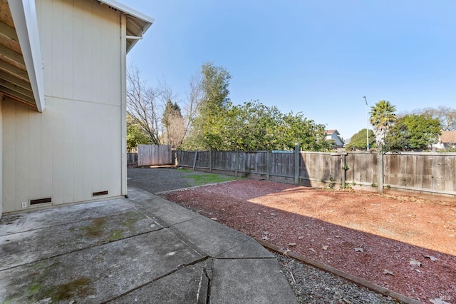 view of yard with a patio area and a fenced backyard