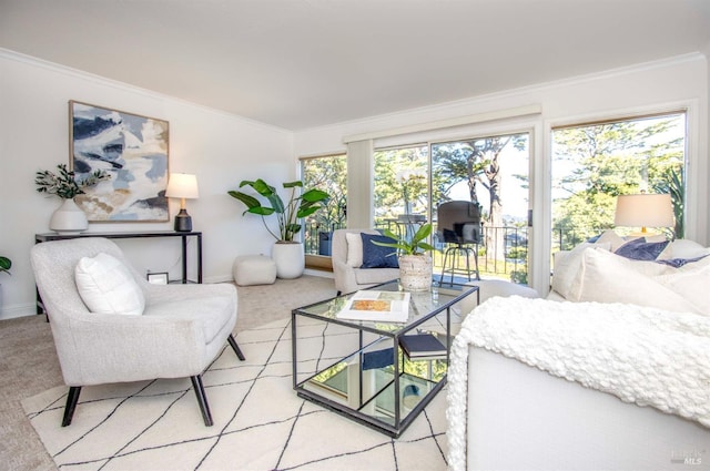 living room featuring ornamental molding and carpet flooring