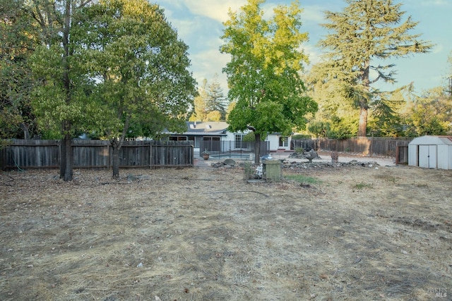 view of yard with a shed