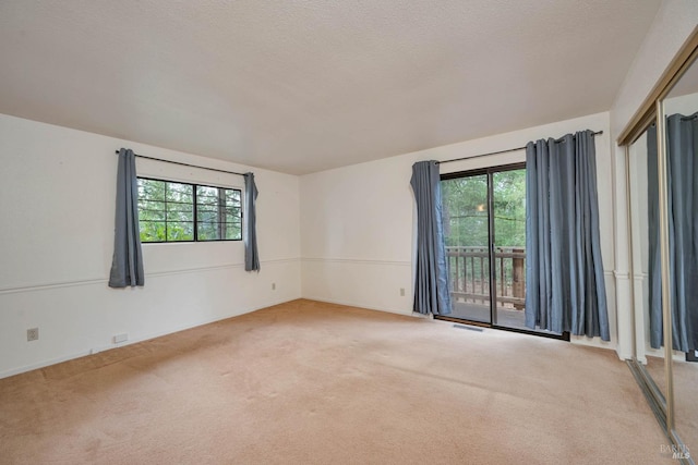 carpeted empty room with a healthy amount of sunlight and a textured ceiling