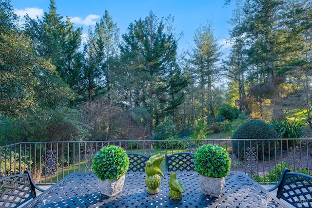 view of yard with outdoor dining space