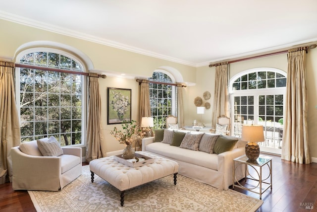 living room with plenty of natural light, crown molding, baseboards, and wood finished floors