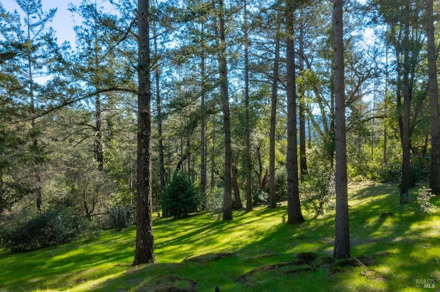 view of local wilderness with a forest view