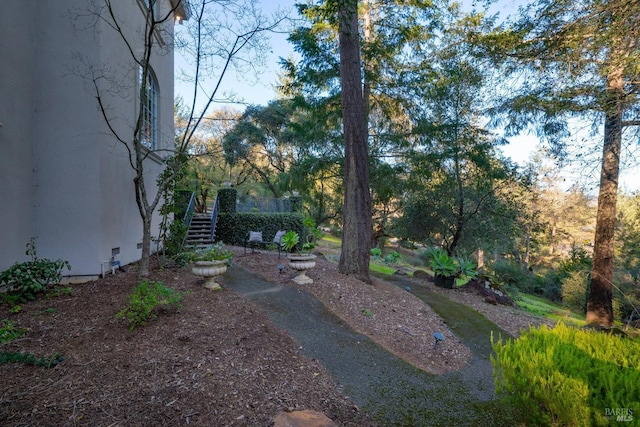 view of yard with stairs