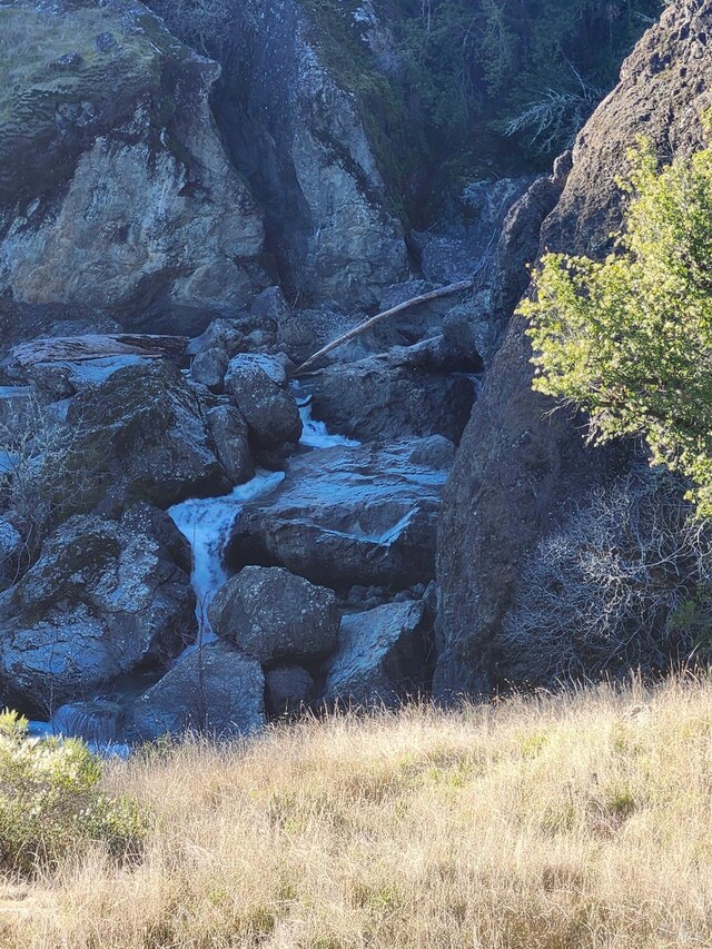 6851 Third Gate Rd, Willits, CA 95490 - view of nature