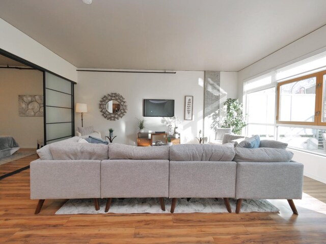 living room featuring hardwood / wood-style flooring