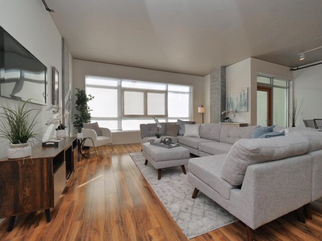 living room with wood-type flooring