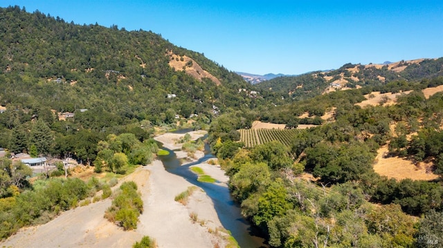 bird's eye view featuring a forest view and a mountain view