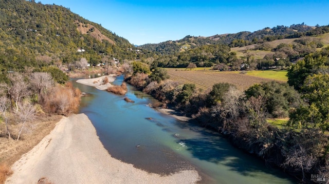 drone / aerial view with a wooded view and a water and mountain view