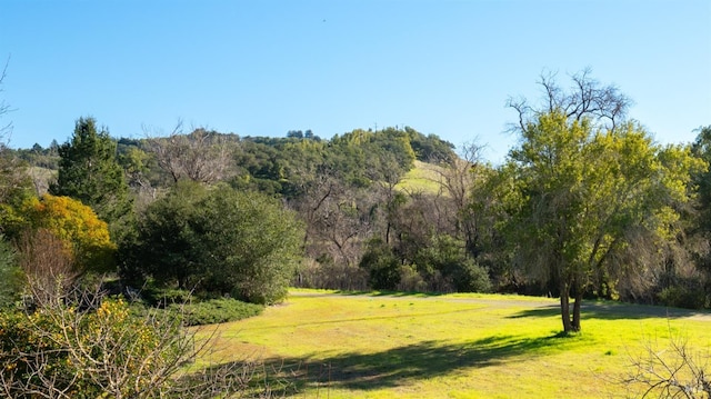 view of home's community with a wooded view and a yard