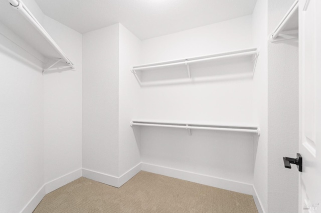 walk in closet with light colored carpet