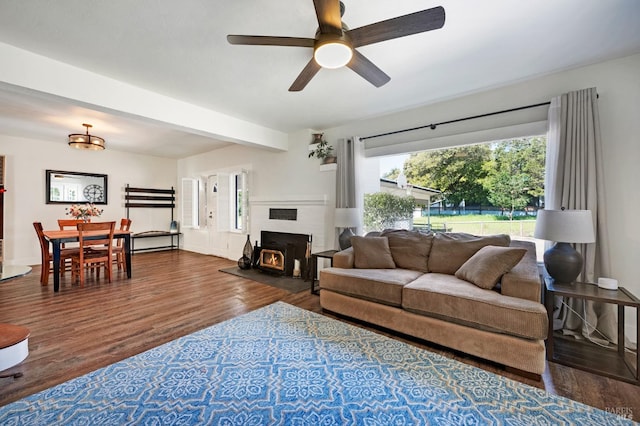 living room featuring ceiling fan, dark hardwood / wood-style floors, and beamed ceiling