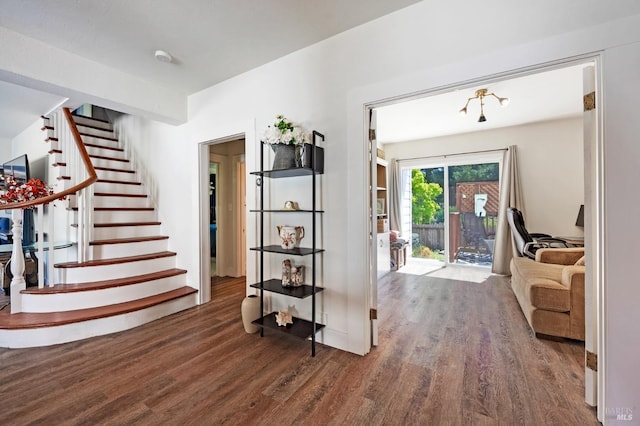 entrance foyer featuring dark wood-type flooring