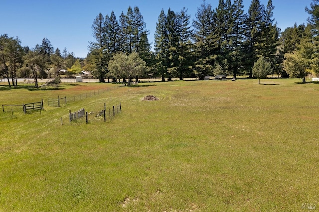 view of yard with a rural view