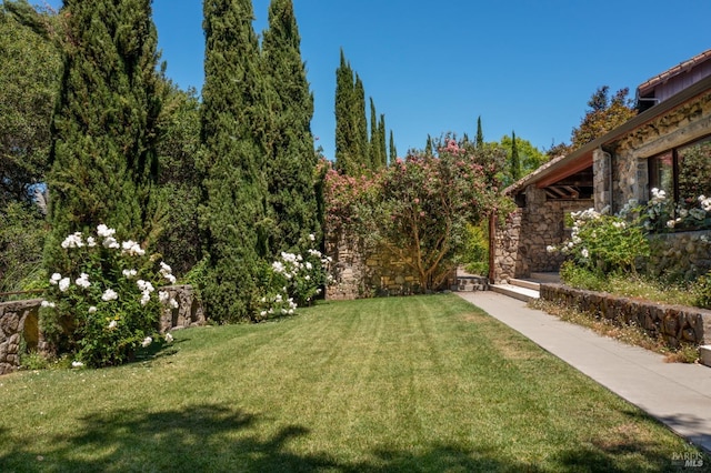 35 Forest Ln, Napa, CA 94558 - view of yard