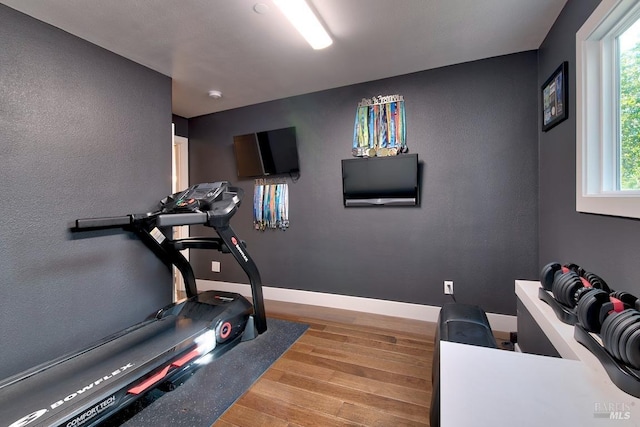 workout room featuring wood-type flooring