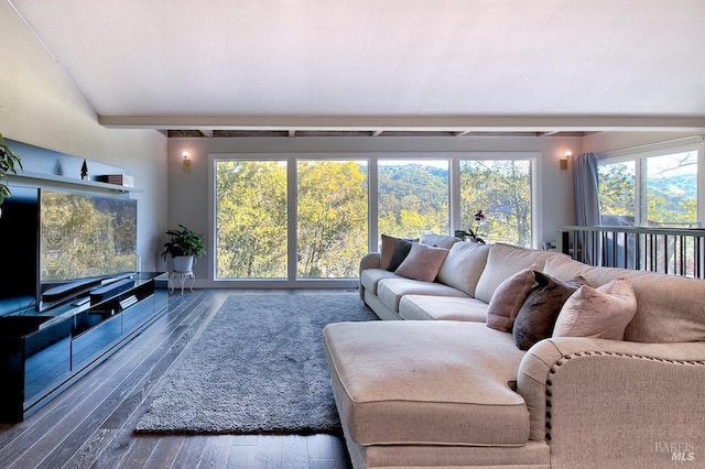 living room with dark hardwood / wood-style floors