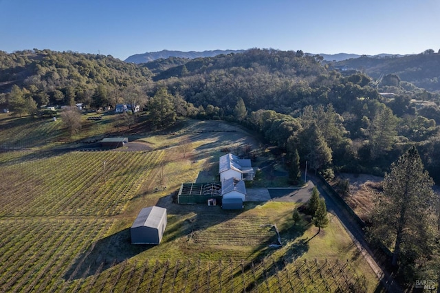 aerial view featuring a rural view and a mountain view