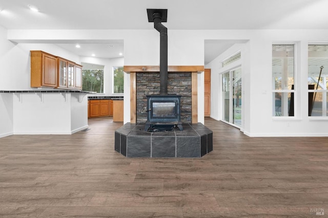 living room featuring dark hardwood / wood-style flooring and a wood stove