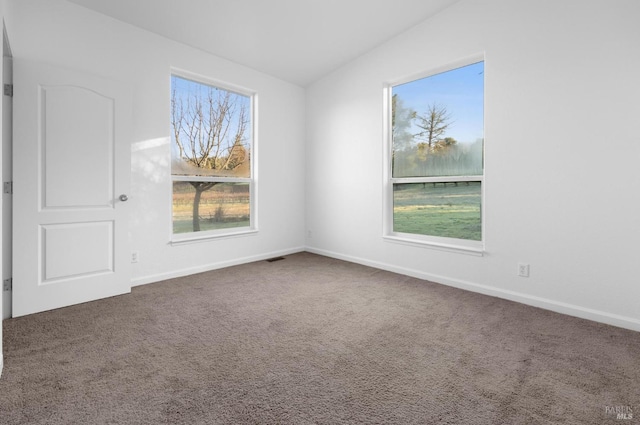 carpeted spare room featuring vaulted ceiling and a wealth of natural light