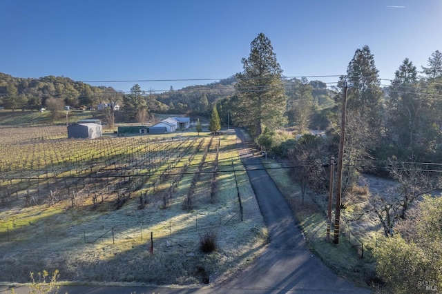 view of yard with a rural view