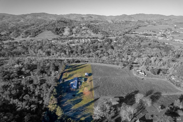 birds eye view of property with a mountain view