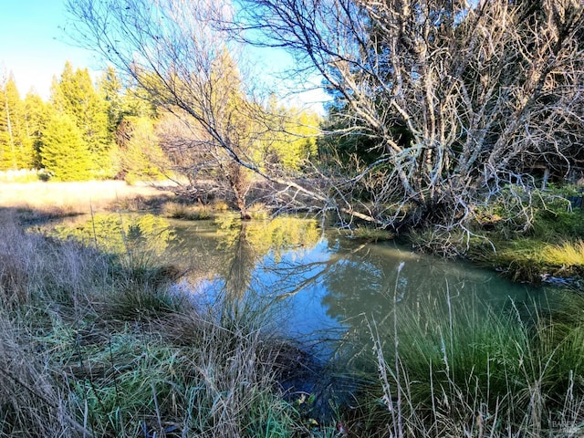 view of water feature