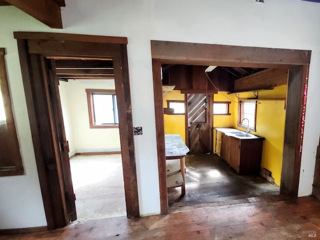 hall with hardwood / wood-style floors, plenty of natural light, and a sink