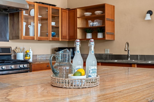 kitchen with stainless steel range with gas stovetop, ventilation hood, sink, and stainless steel counters