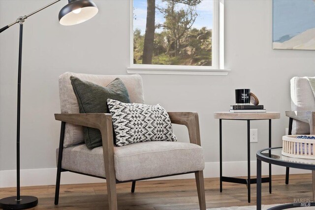 sitting room featuring wood-type flooring