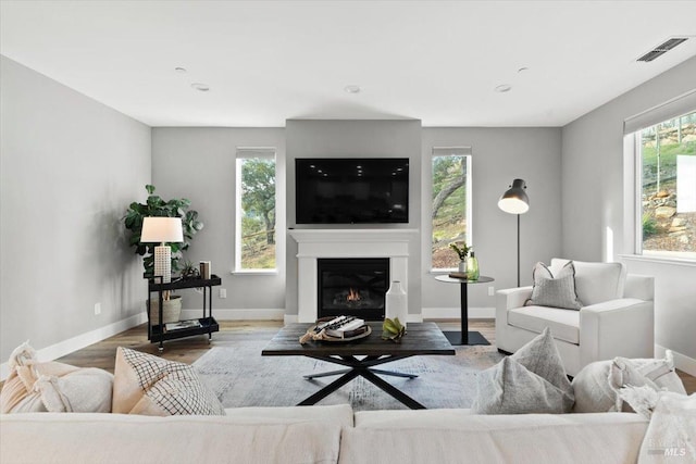 living room featuring hardwood / wood-style floors