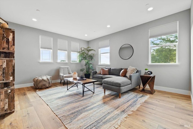 living room with light hardwood / wood-style flooring and a wealth of natural light