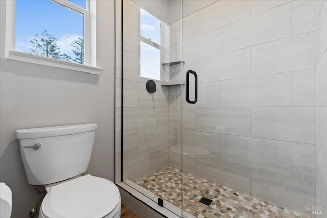 bathroom with toilet, a healthy amount of sunlight, and a shower with shower door