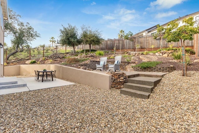 view of yard with a patio area