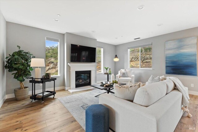 living room featuring a healthy amount of sunlight and light hardwood / wood-style flooring