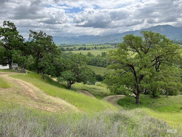 view of local wilderness featuring a mountain view and a rural view