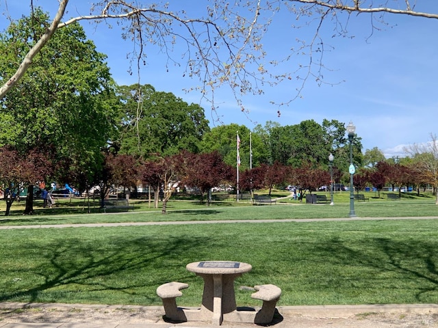 view of community featuring a lawn