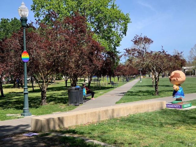 view of home's community with a lawn